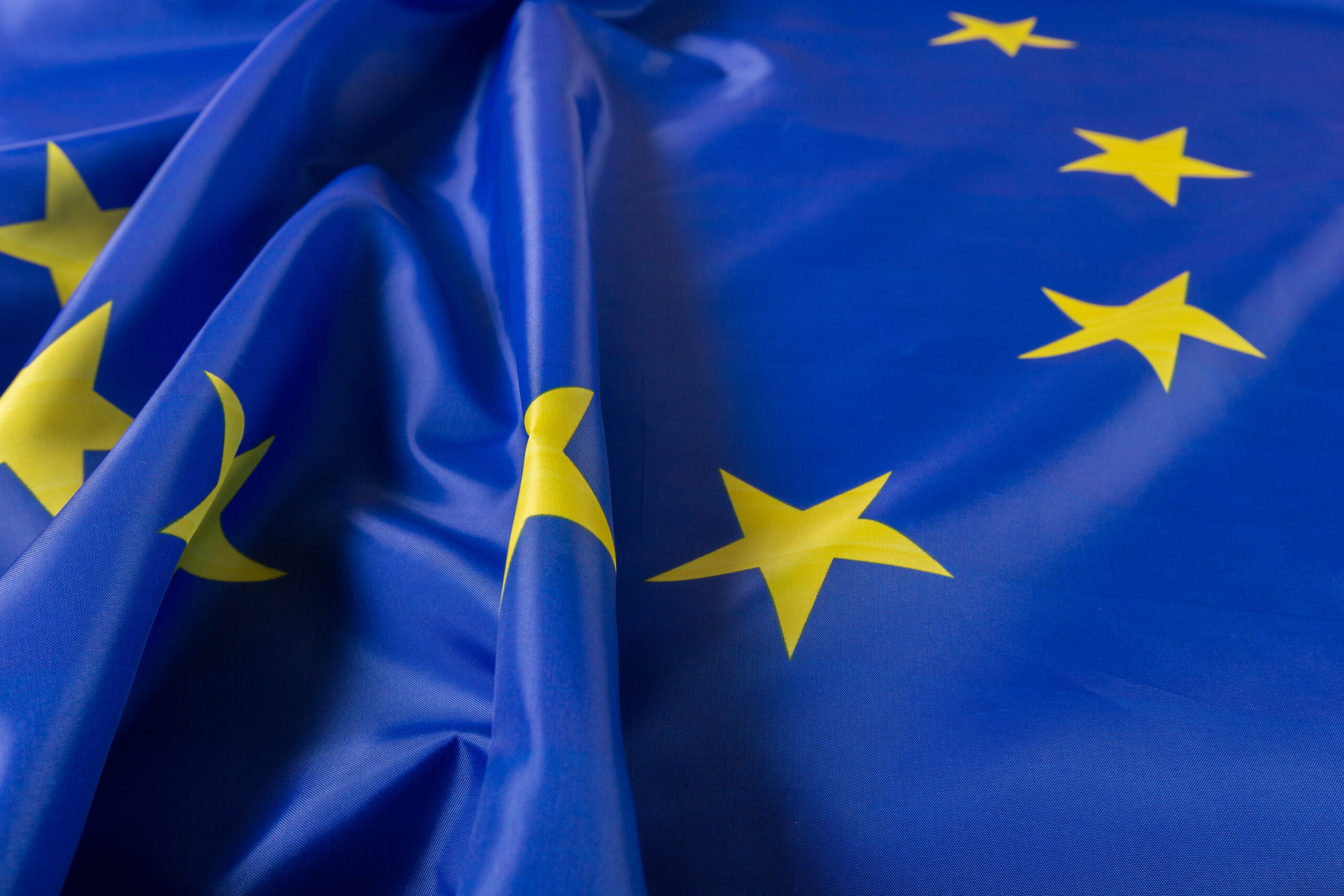 Bandiera dell'Unione europea