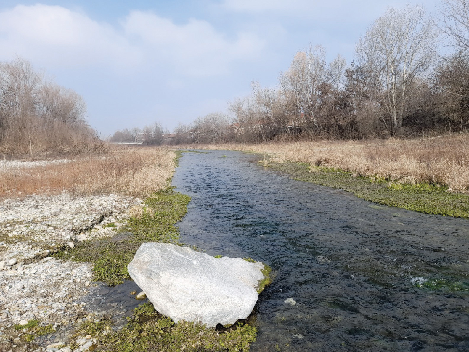 Il torrente Maira a Savigliano, primi mesi del 2023, prima di essere prosciugato dai prelievi a monte.