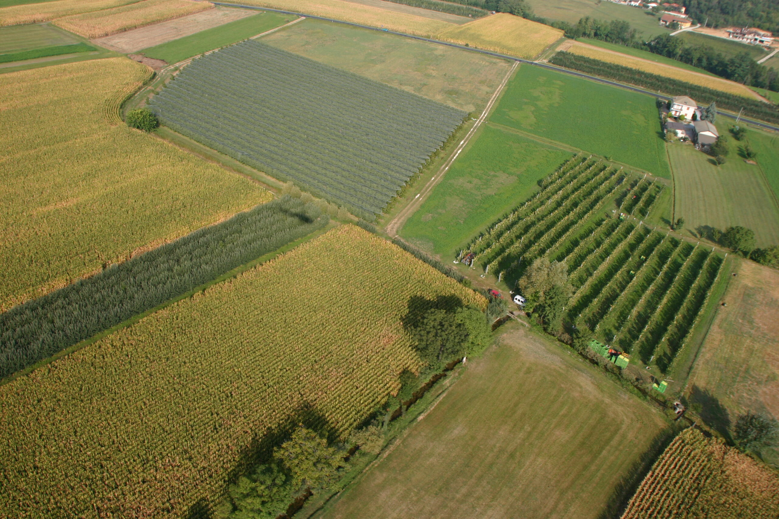 Paesaggio agricolo
