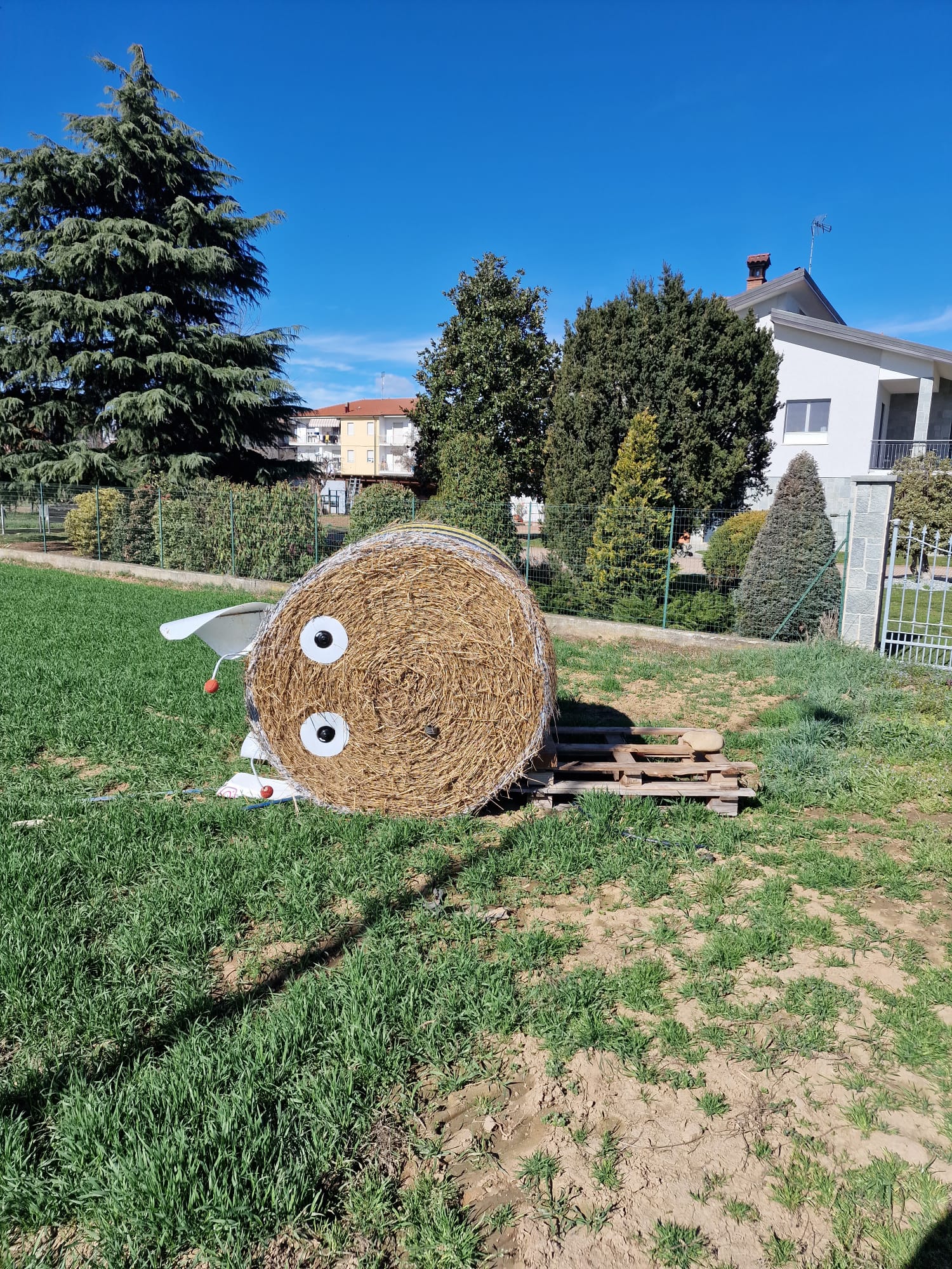 Sant'Albano Stura - Rotoballa rivesciata