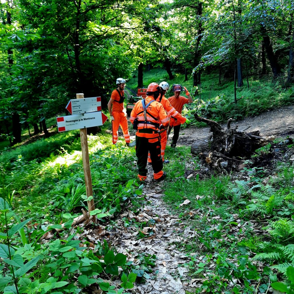 Peveragno Aib intervento piste forestali