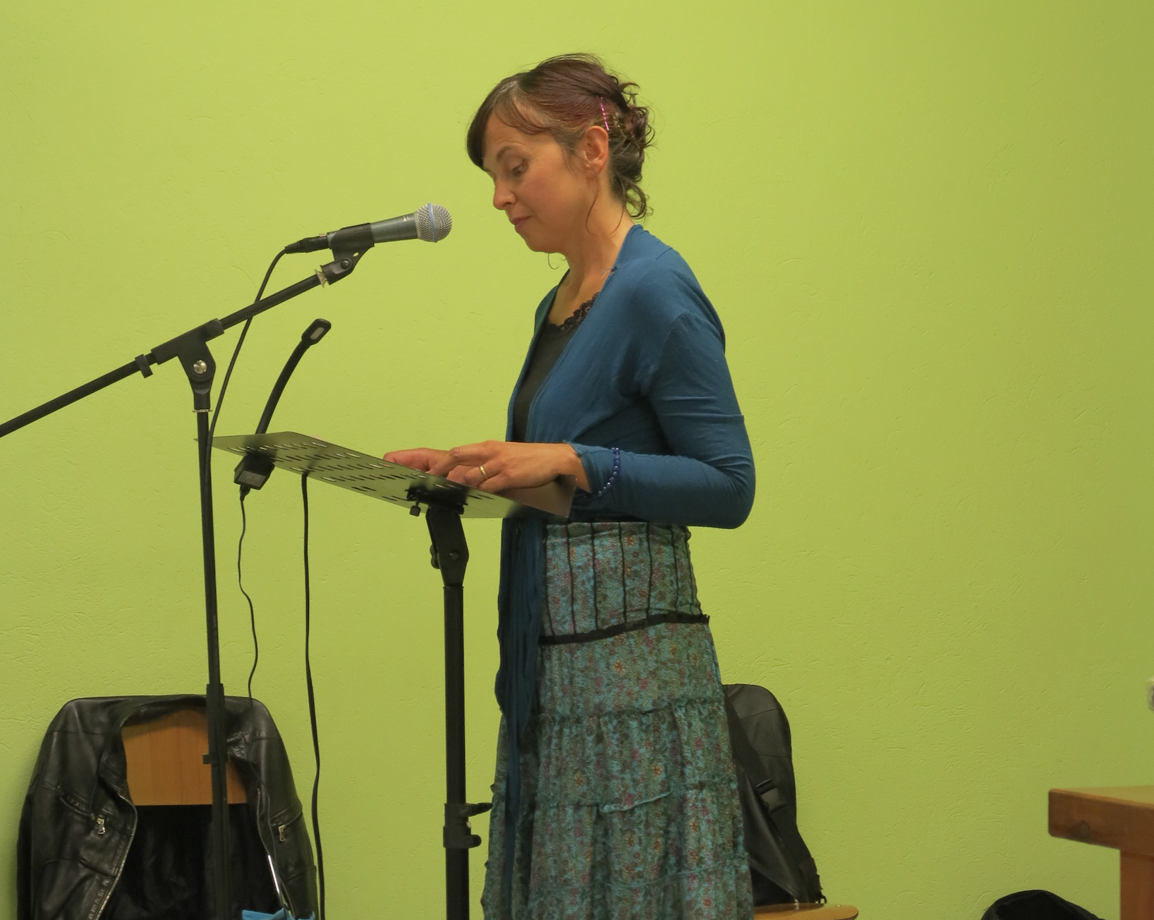 Elisa Dani