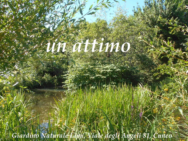 un attimo, Domenico Olivero, giardino lipu