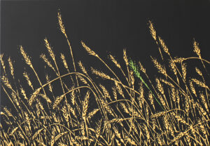 SARA GIRAUDO, Che spiga, 2019, tecnica mista su tela, cm 70 x 100