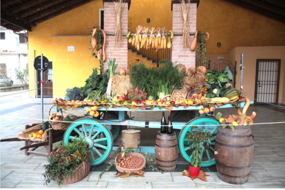 Fiera Napoleonica Narzole 2