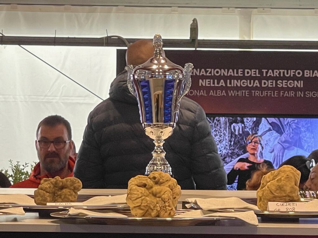 Tartufo Reale 2023 (4) Tartufi