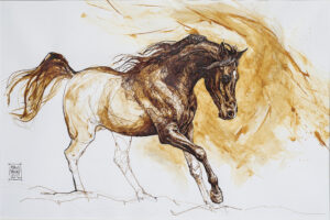 Cavallo! Marcus Parisini