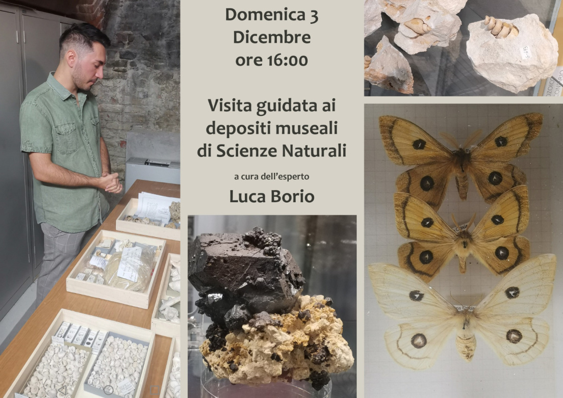 Museo Sant'Eusebio Alba