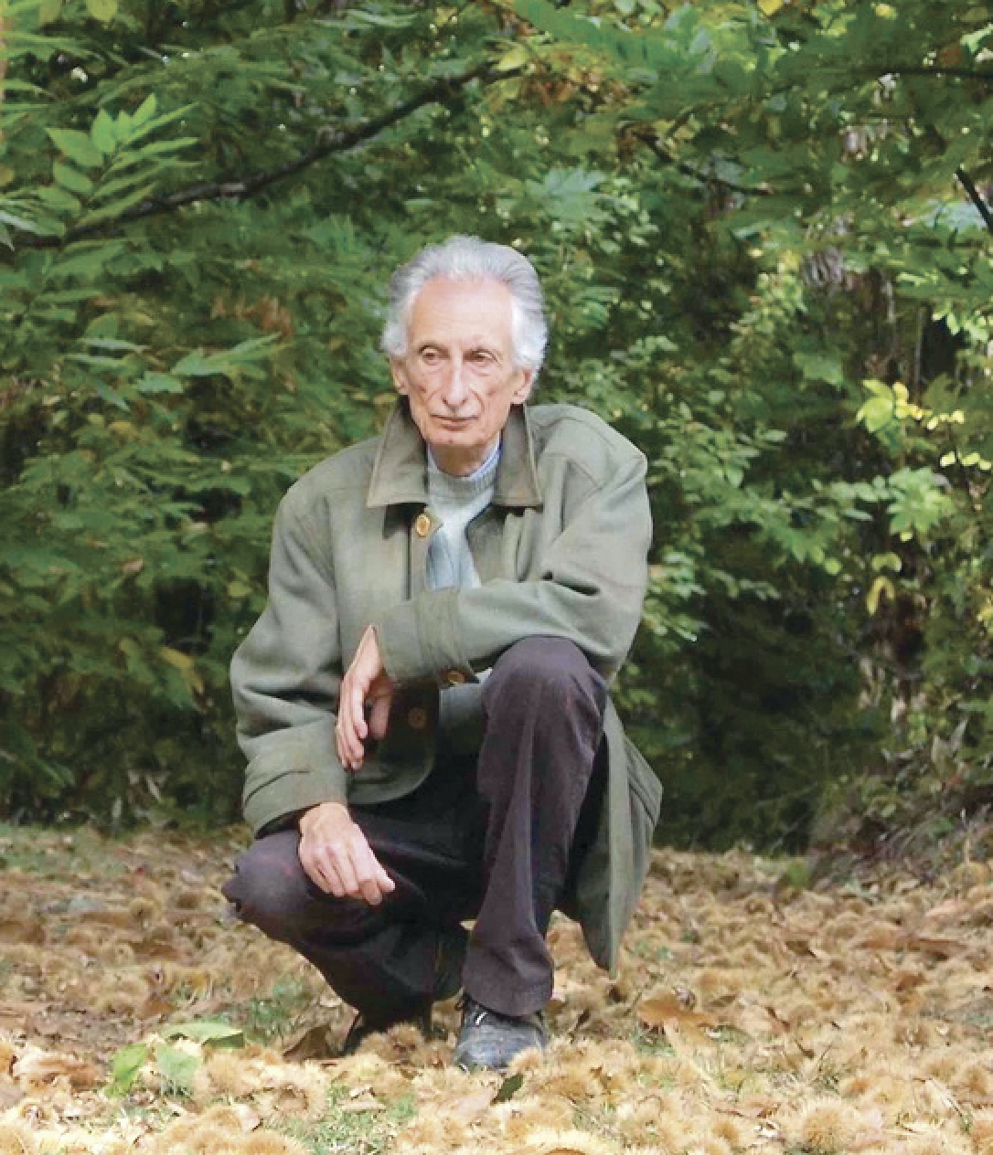 Remigio Bertolino