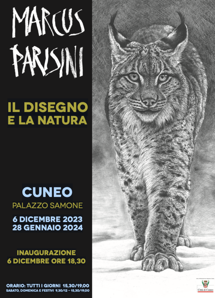 Marcus Parisini