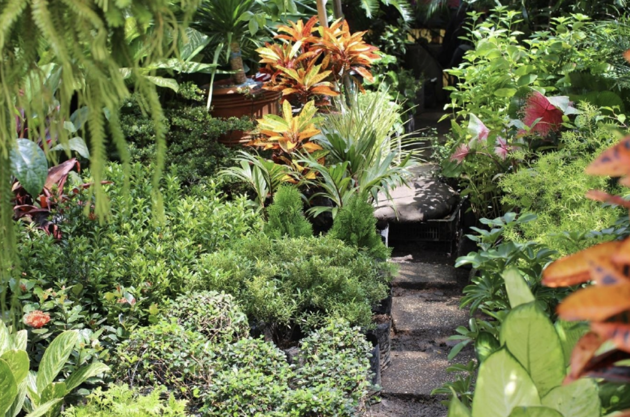Il giardino che ti salva