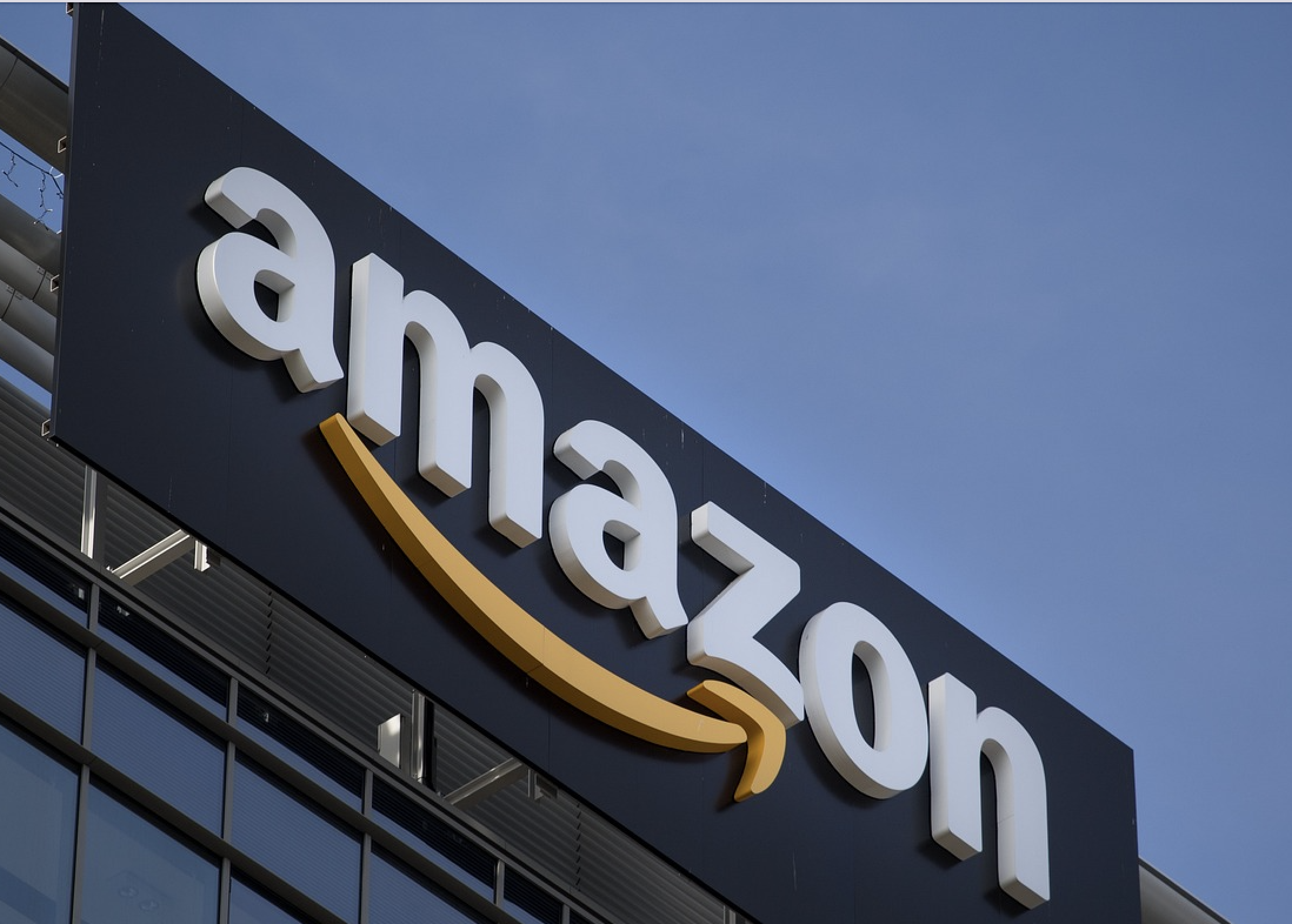 Amazon (foto Pixabay)