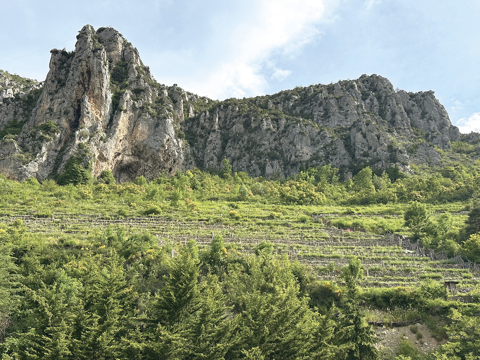 LA BRIGUE I VIGNETI G. BERNARDI