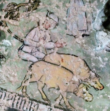 3 - Buoi intenti ad arare; Affresco (particolare); Giovanni Mazzucco; Seconda metà XV secolo; Antico convento dei Domenicani; Peveragno.