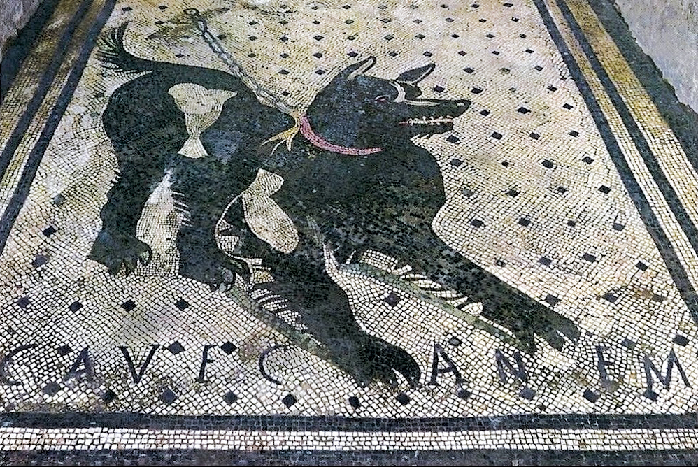 2 - Cave Canem; Mosaico; Anonimo; I secolo a.C.; Casa del poeta tragico; Pompei.