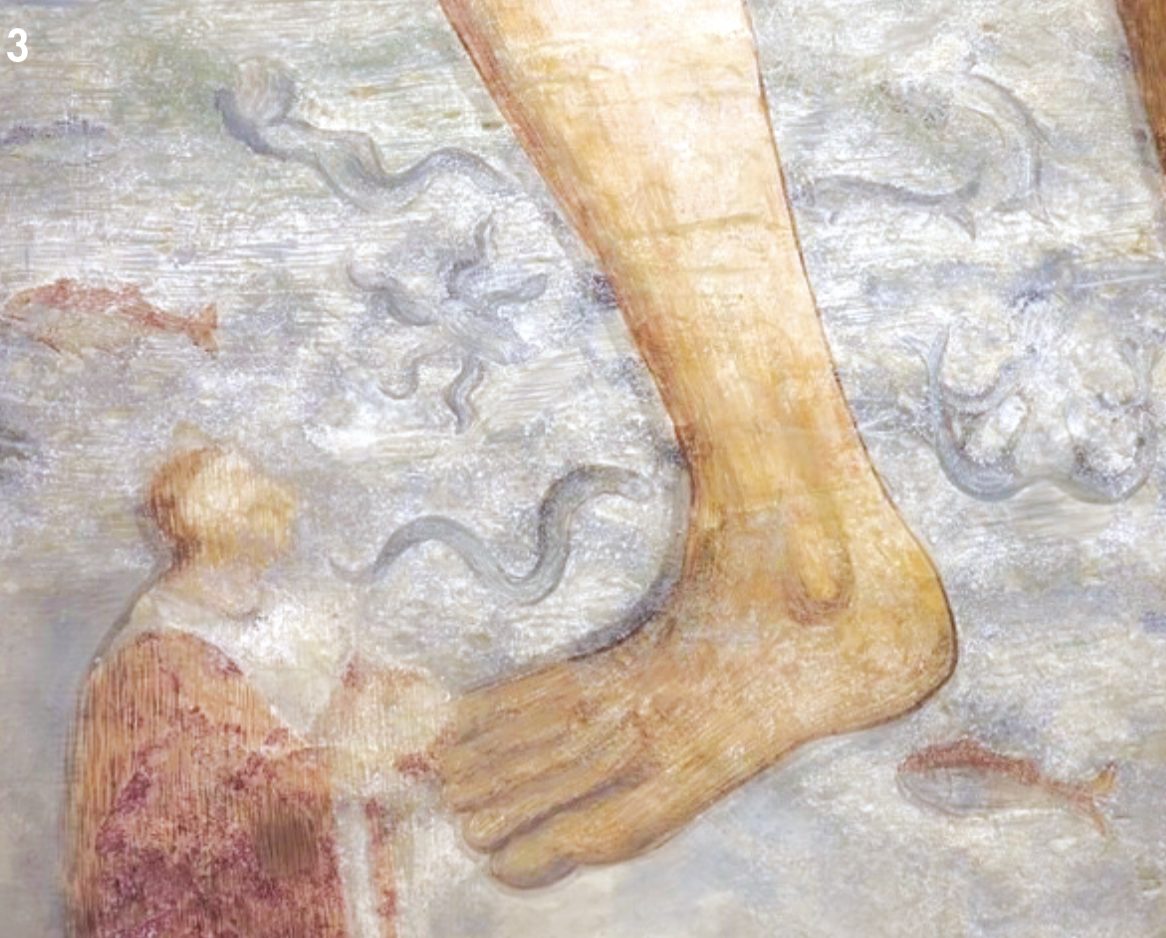 3 - Pesci ; Affresco (Particolare); XIV secolo; Anonimo; Parrocchiale di Santa Margherita; Casteldelfino.