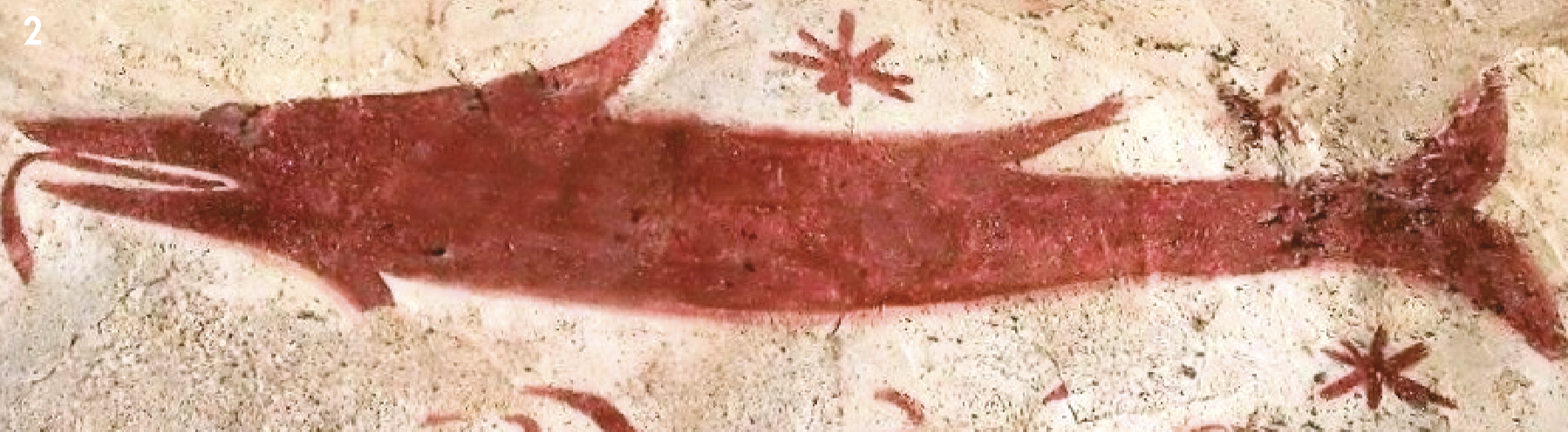 2 - Pesce; Affresco (Particolare); Anonimo ; XI secolo; Pieve di San Maurizio; Roccaforte Mondovì.