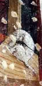 2 - Topo afferrato dal gatto; Affresco (Particolare); Anonimo; XV secolo; Monastero di San Biagio; Morozzo.