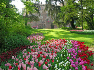 Castello di Pralormo - Messer Tulipano