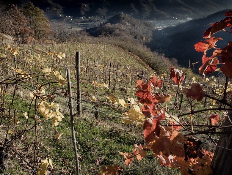 collina saluzzese