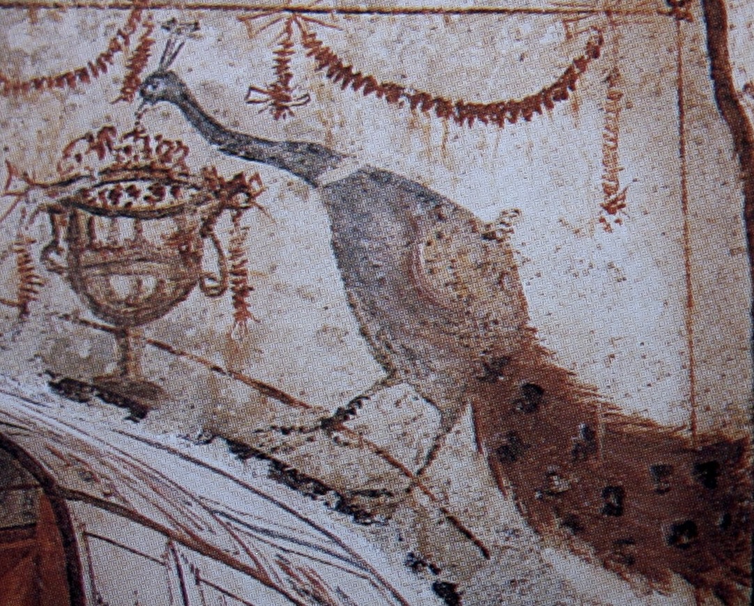 1 - Pavone; Pittura murale (particolare); Anonimo; IV secolo; Ipogeo di via Dino Compagni; Roma.