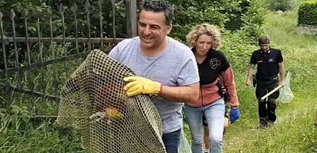 Un momento del recupero dell'avvoltoio monaco con Matteo Attolico, Arianna Menzano e i carabinieri forestali