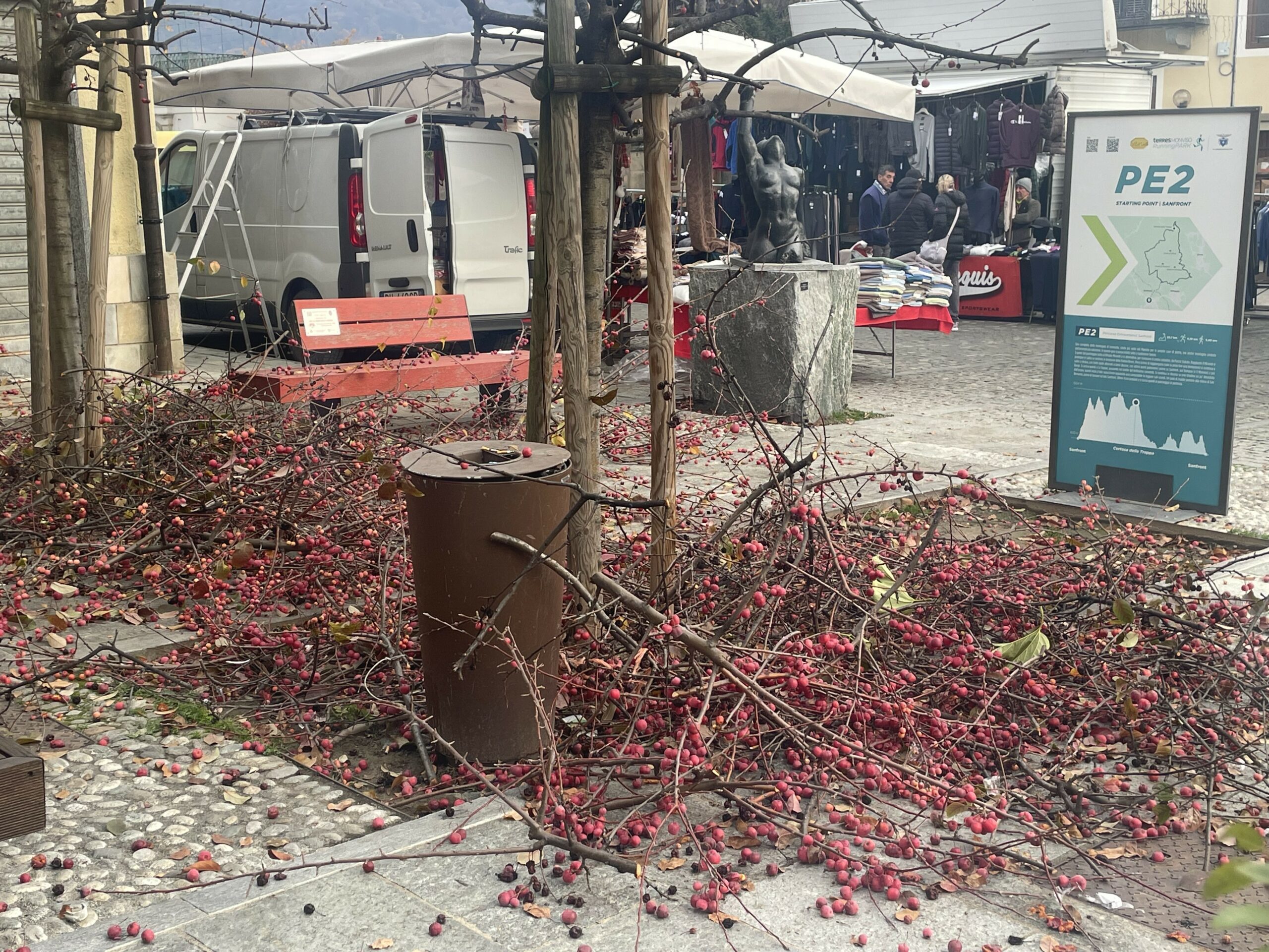Ramaglie al mercato di Sanfront