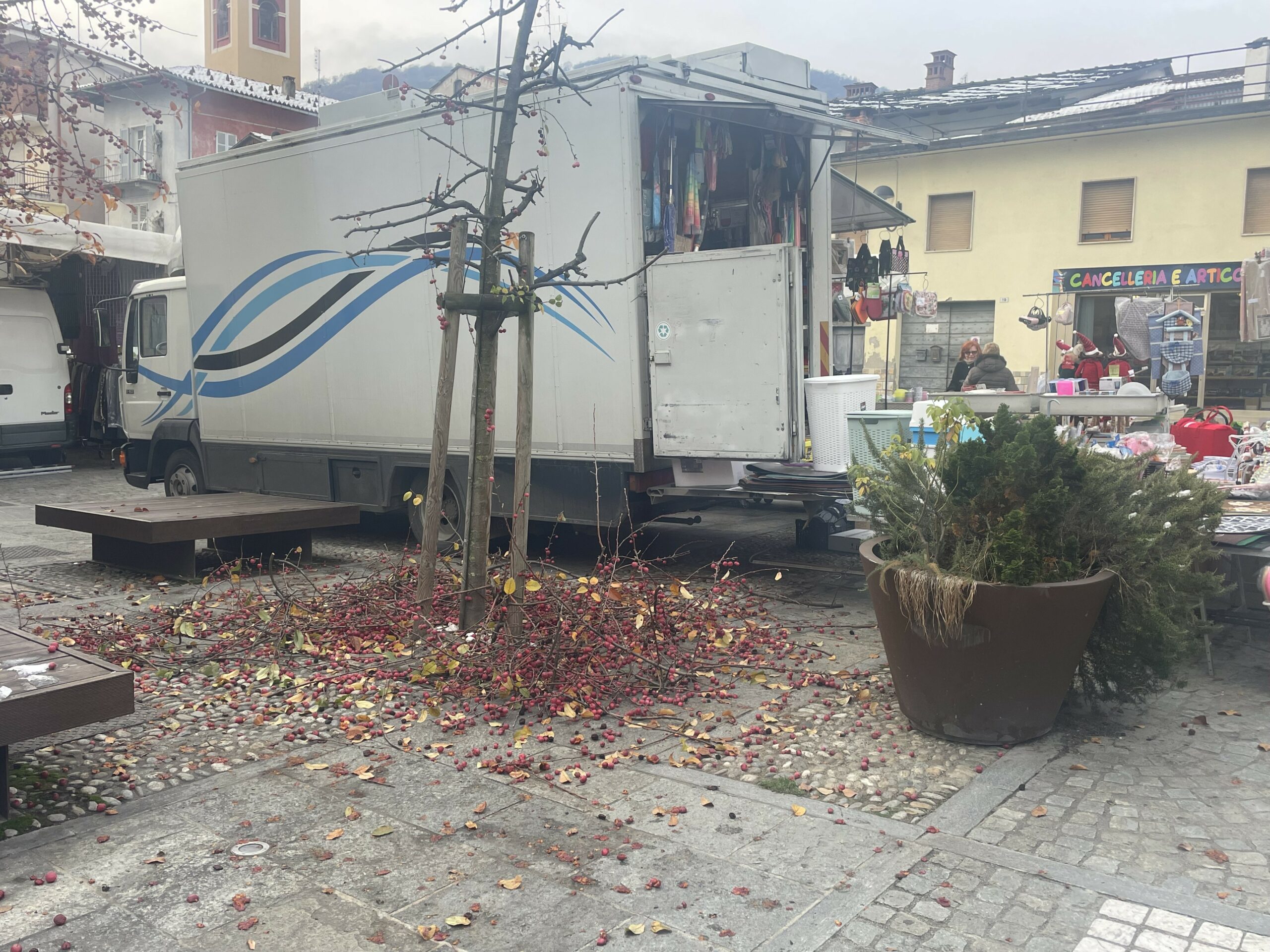Ramaglie al mercato di Sanfront