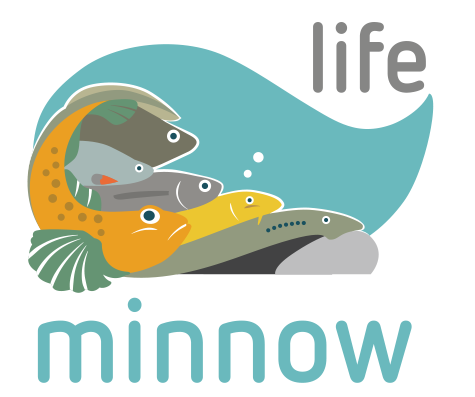 Logo-Life-Monnow