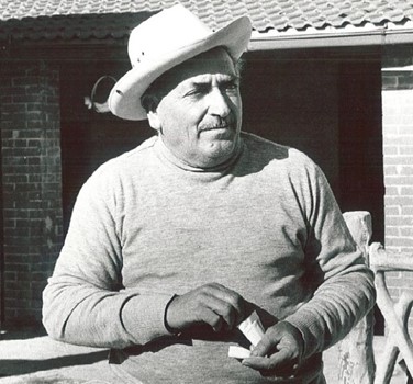 Taro