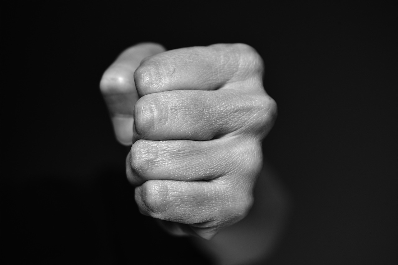 Mano stretta a pugno (foto Pixabay)