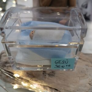 Presepe nella Terapia Intensiva Neonatale cuneese