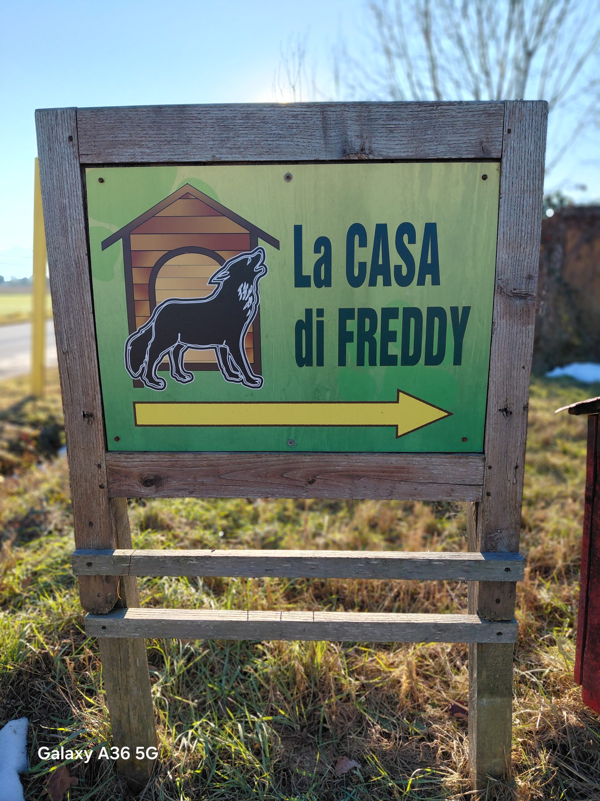 la casa di Freddy