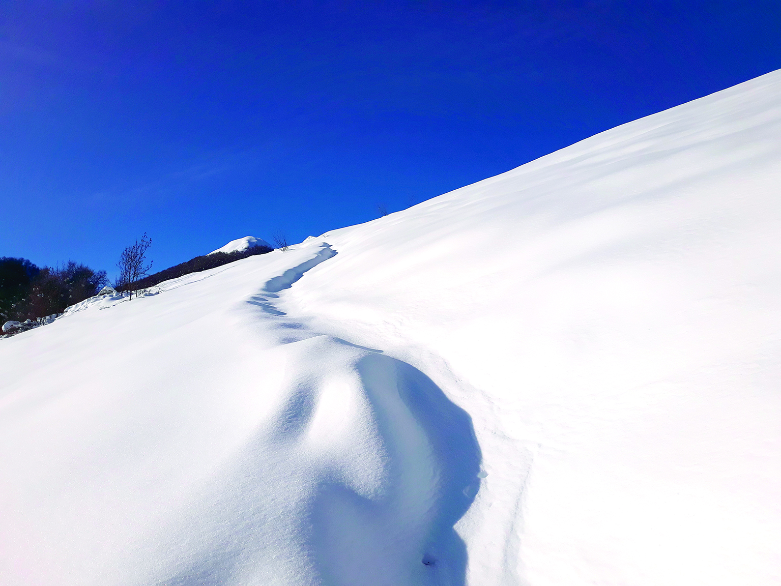 SALITA ALLA CIMA ROCCOSTON CON LE RACCHETTE DA NEVE 2026 Gianni