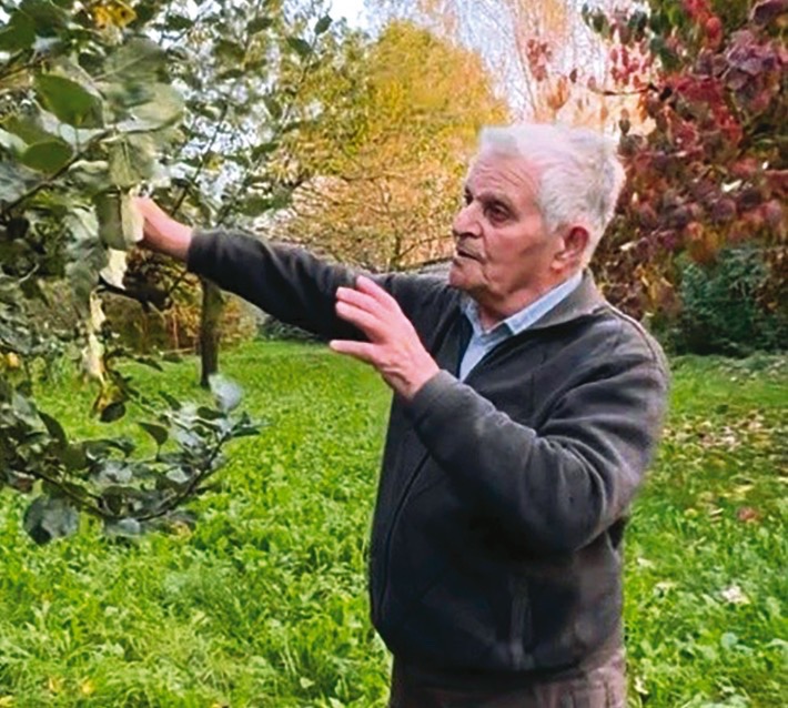 Giuseppe Marro