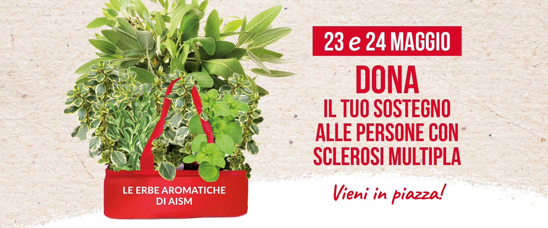 piante aromatiche Aism