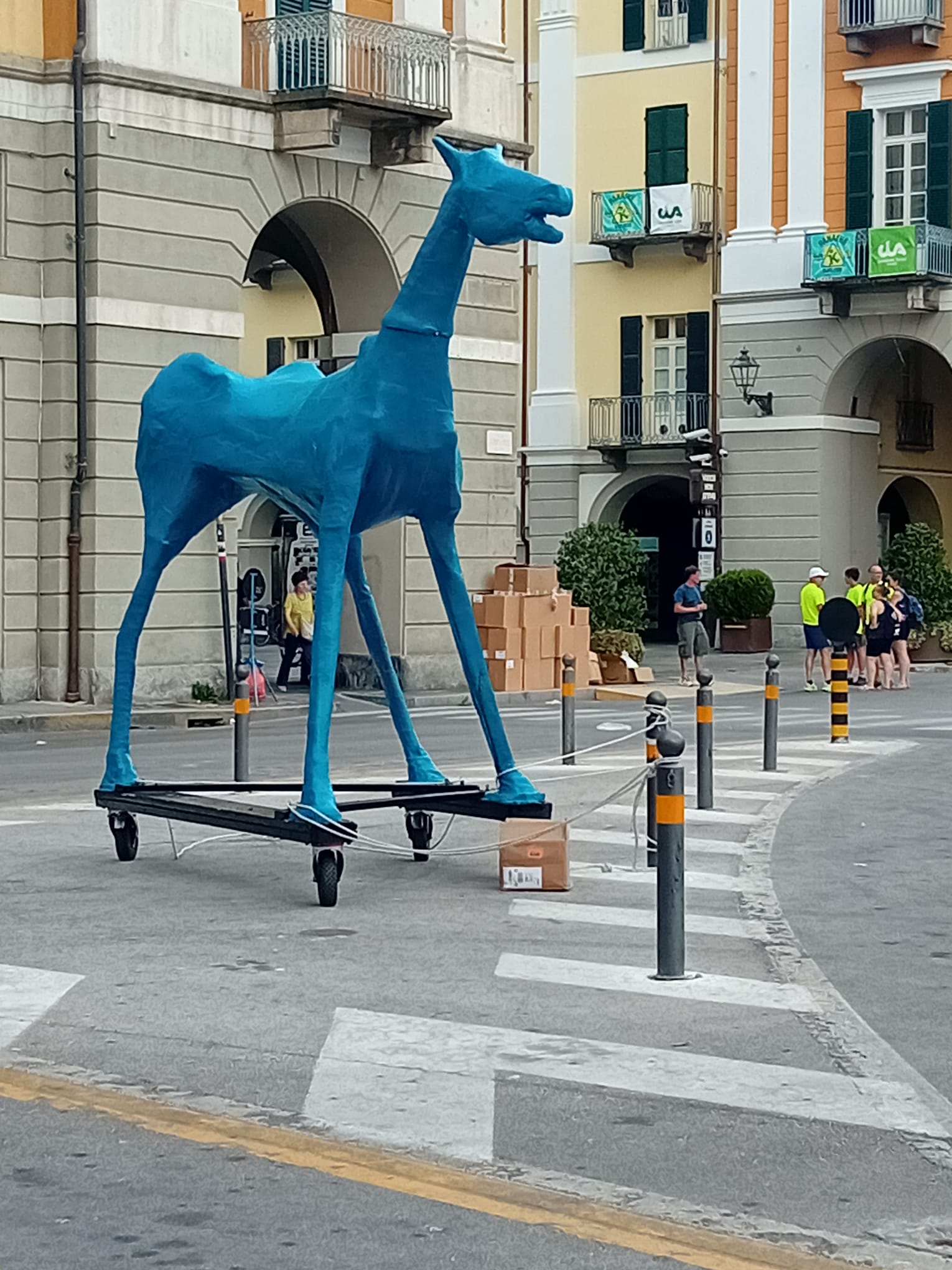 Marco Cavallo